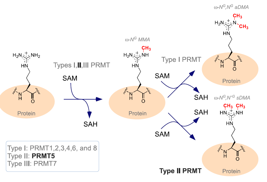 微信圖片_20210210104141.png 微信圖片_20210210104141.png