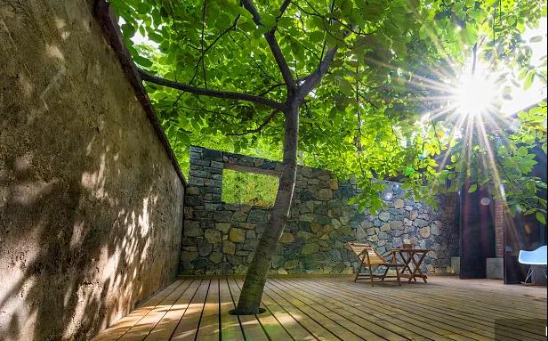 同信·愛家壹號(hào)|曾經(jīng)江湖策馬，如今院里觀花！