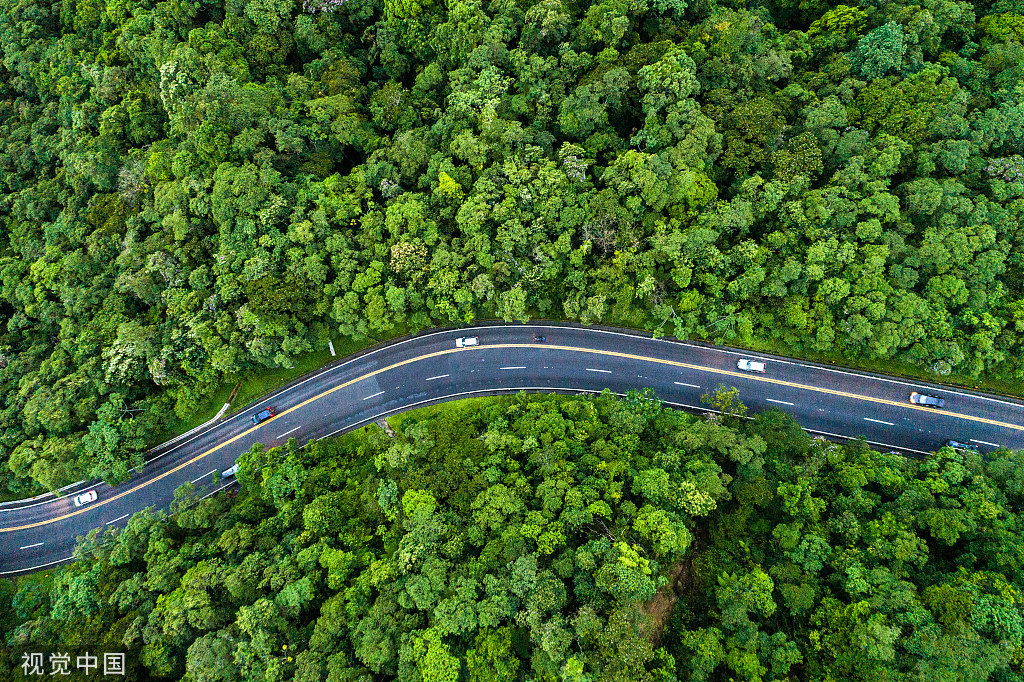 福利請查收丨點亮團圓路，與愛相伴同心同行！