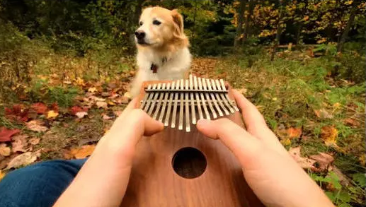 河畔有約丨看見指尖藝術，聆聽幻彩音符！